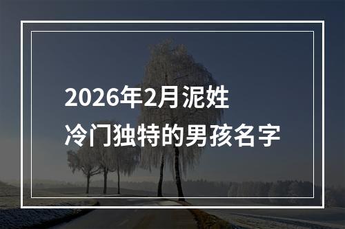 2026年2月泥姓冷门独特的男孩名字