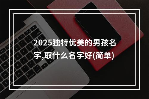 2025独特优美的男孩名字,取什么名字好(简单)