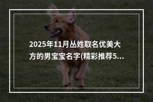 2025年11月丛姓取名优美大方的男宝宝名字(精彩推荐515个)