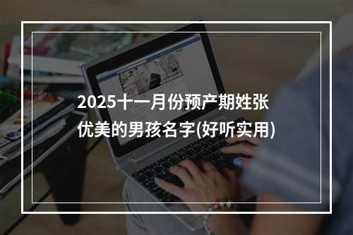 2025十一月份预产期姓张优美的男孩名字(好听实用)