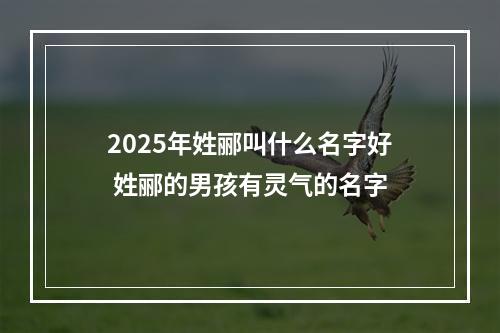 2025年姓郦叫什么名字好 姓郦的男孩有灵气的名字