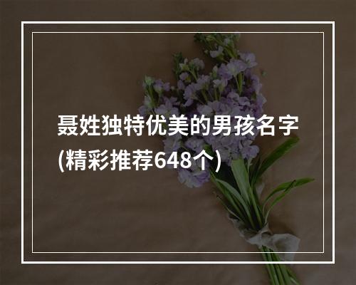 聂姓独特优美的男孩名字(精彩推荐648个)