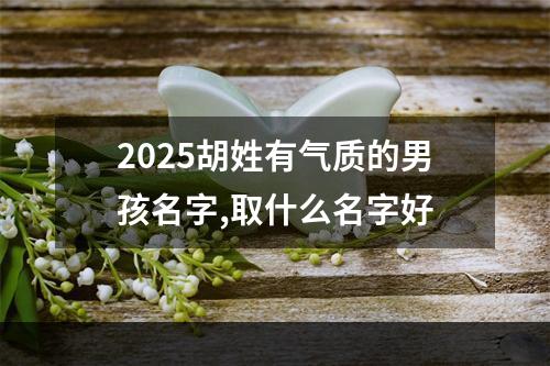 2025胡姓有气质的男孩名字,取什么名字好