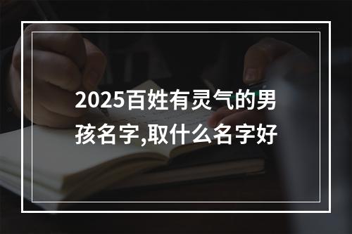 2025百姓有灵气的男孩名字,取什么名字好