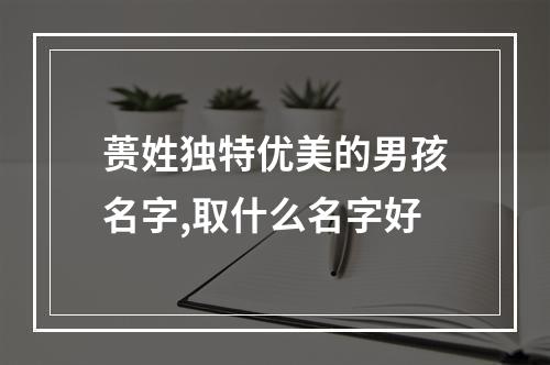 蒉姓独特优美的男孩名字,取什么名字好