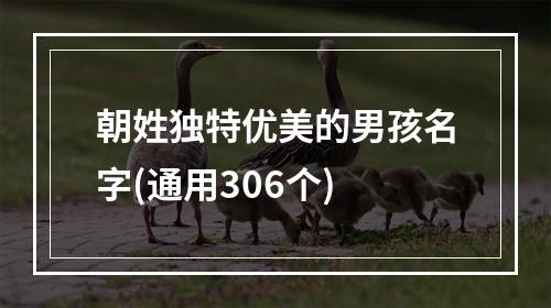朝姓独特优美的男孩名字(通用306个)