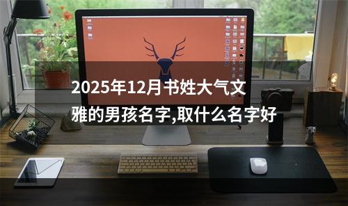 2025年12月书姓大气文雅的男孩名字,取什么名字好