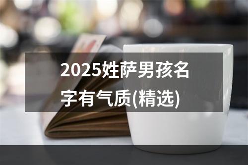 2025姓萨男孩名字有气质(精选)
