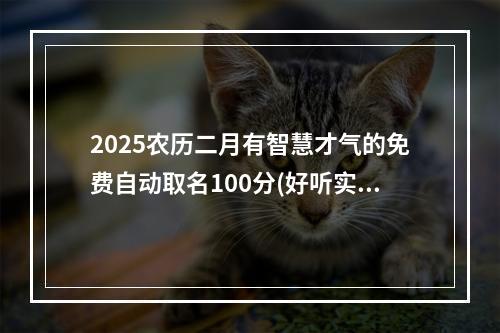 2025农历二月有智慧才气的免费自动取名100分(好听实用)