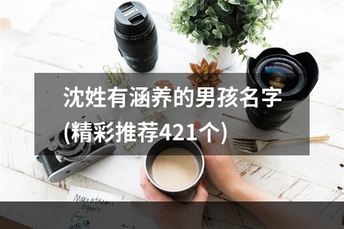 沈姓有涵养的男孩名字(精彩推荐421个)