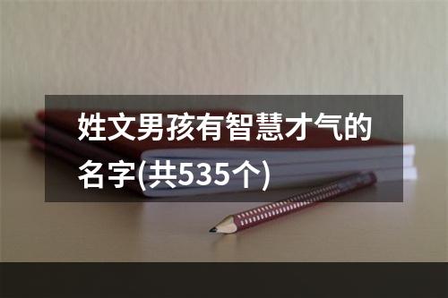 姓文男孩有智慧才气的名字(共535个)