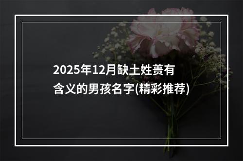 2025年12月缺土姓蒉有含义的男孩名字(精彩推荐)
