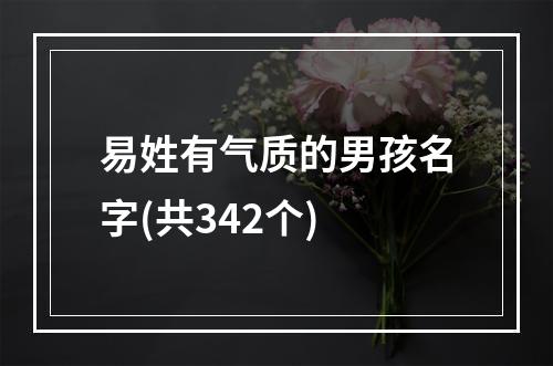 易姓有气质的男孩名字(共342个)