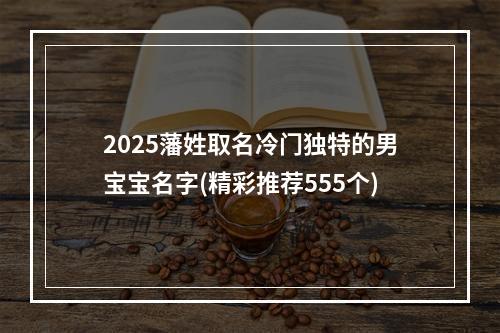 2025藩姓取名冷门独特的男宝宝名字(精彩推荐555个)
