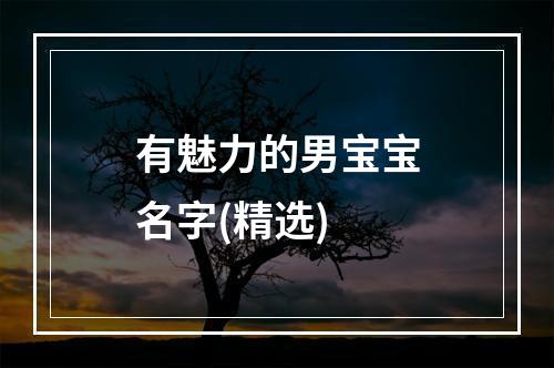 有魅力的男宝宝名字(精选)