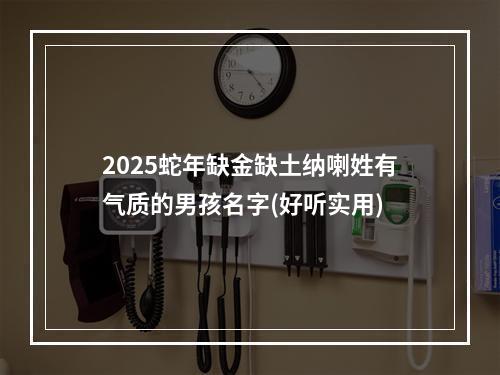 2025蛇年缺金缺土纳喇姓有气质的男孩名字(好听实用)