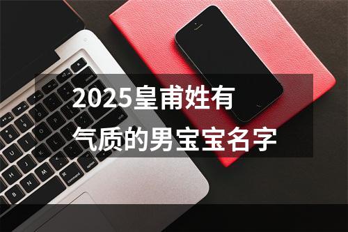 2025皇甫姓有气质的男宝宝名字