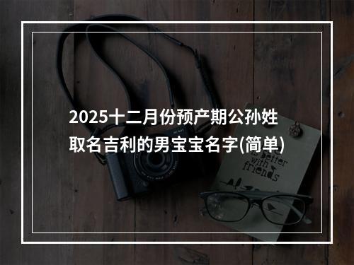 2025十二月份预产期公孙姓取名吉利的男宝宝名字(简单)