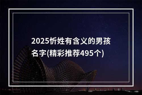 2025忻姓有含义的男孩名字(精彩推荐495个)