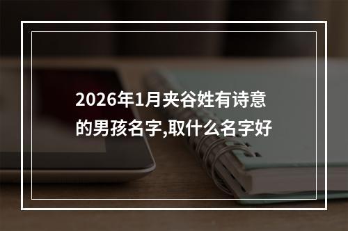 2026年1月夹谷姓有诗意的男孩名字,取什么名字好