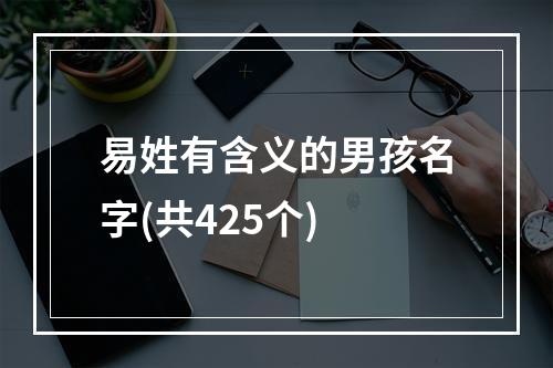 易姓有含义的男孩名字(共425个)