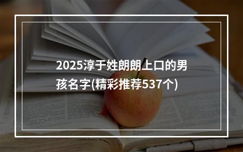 2025淳于姓朗朗上口的男孩名字(精彩推荐537个)