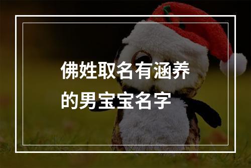佛姓取名有涵养的男宝宝名字