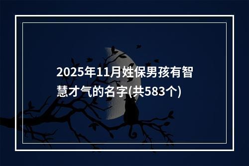 2025年11月姓保男孩有智慧才气的名字(共583个)