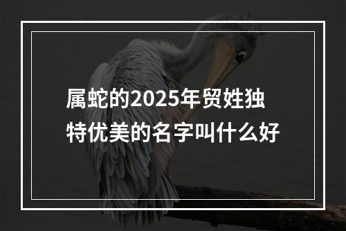 属蛇的2025年贸姓独特优美的名字叫什么好