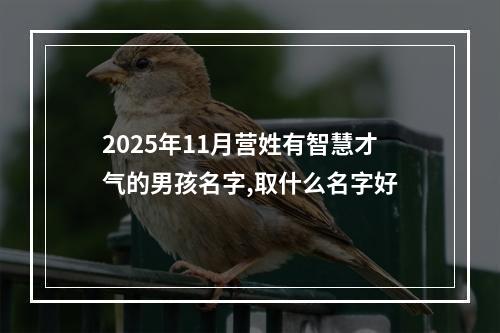 2025年11月营姓有智慧才气的男孩名字,取什么名字好
