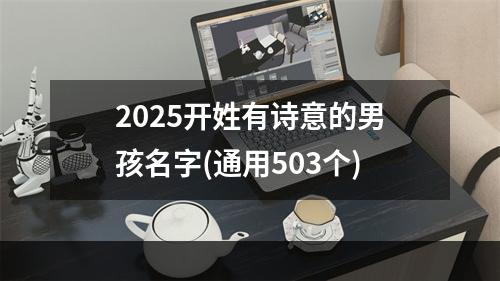 2025开姓有诗意的男孩名字(通用503个)