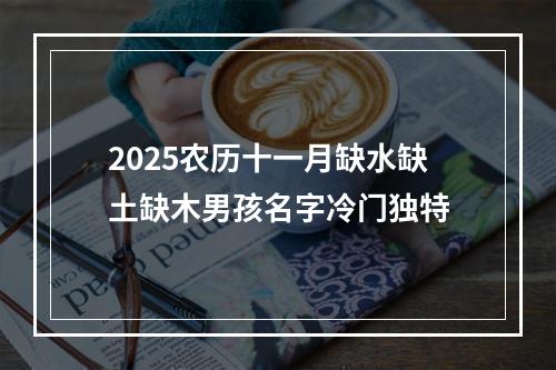 2025农历十一月缺水缺土缺木男孩名字冷门独特