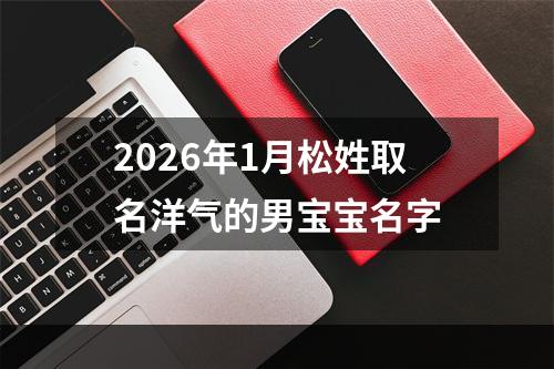 2026年1月松姓取名洋气的男宝宝名字