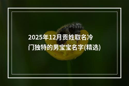 2025年12月贡姓取名冷门独特的男宝宝名字(精选)