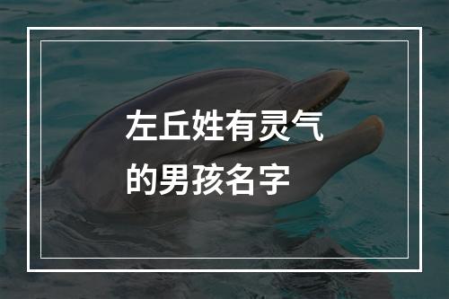 左丘姓有灵气的男孩名字