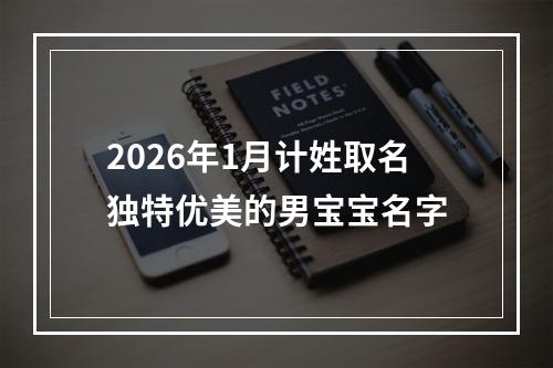 2026年1月计姓取名独特优美的男宝宝名字