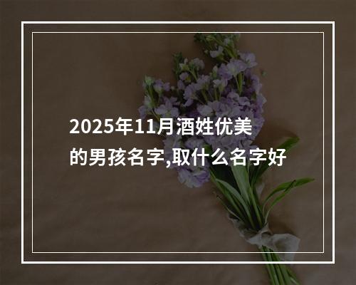 2025年11月酒姓优美的男孩名字,取什么名字好