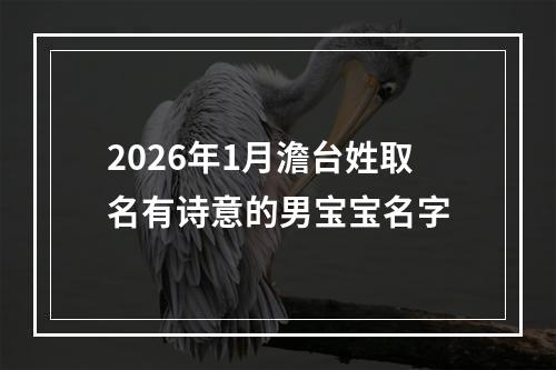2026年1月澹台姓取名有诗意的男宝宝名字