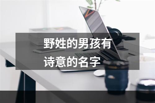 野姓的男孩有诗意的名字