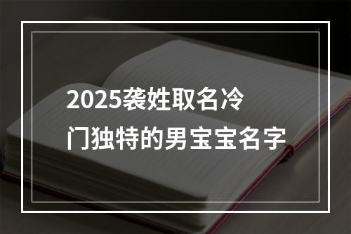 2025袭姓取名冷门独特的男宝宝名字