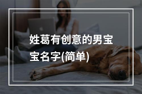 姓葛有创意的男宝宝名字(简单)