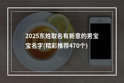 2025东姓取名有新意的男宝宝名字(精彩推荐470个)