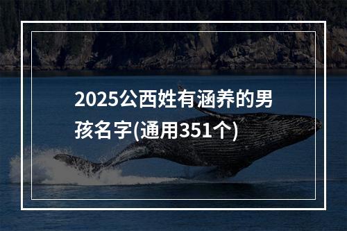 2025公西姓有涵养的男孩名字(通用351个)