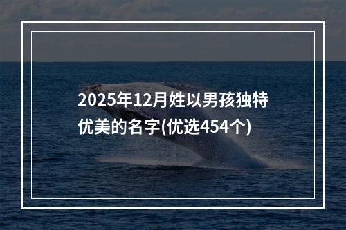 2025年12月姓以男孩独特优美的名字(优选454个)