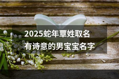 2025蛇年覃姓取名有诗意的男宝宝名字