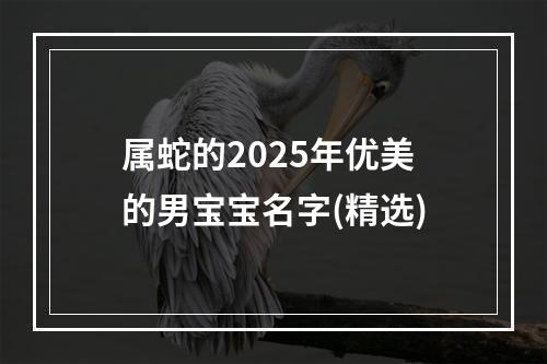 属蛇的2025年优美的男宝宝名字(精选)