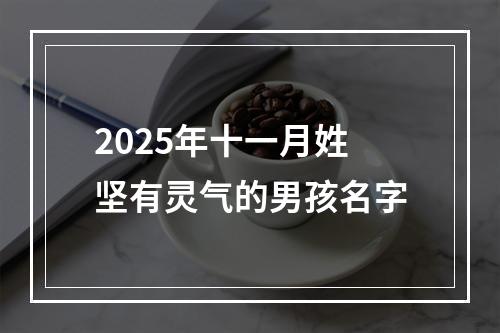2025年十一月姓坚有灵气的男孩名字