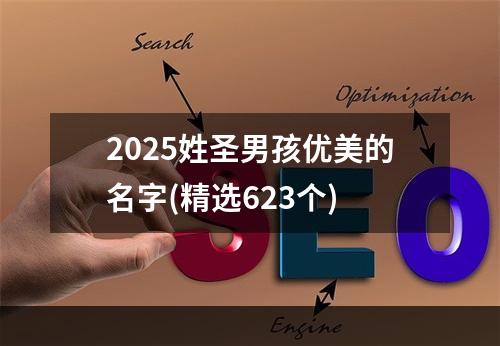 2025姓圣男孩优美的名字(精选623个)