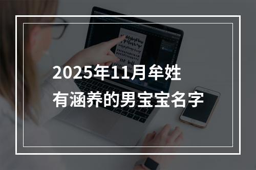 2025年11月牟姓有涵养的男宝宝名字