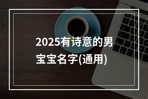 2025有诗意的男宝宝名字(通用)
